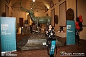 VBS_7660 - Salvador Dalì - The Exhibition